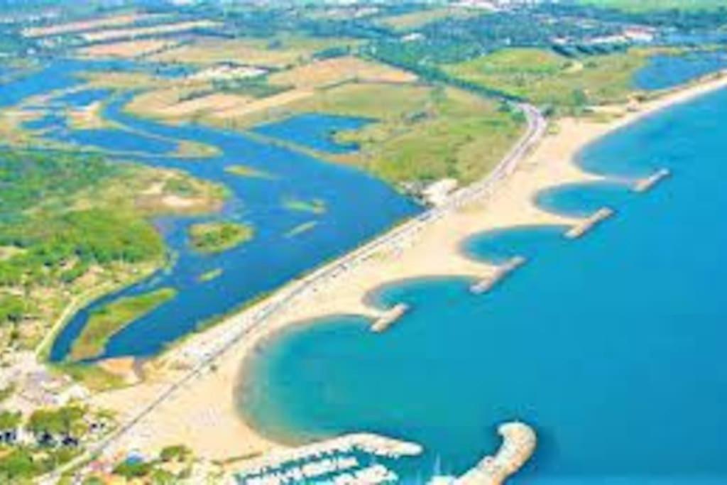 Appartement Cosy Proche Centre Draguignan Eksteriør bilde